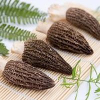 丽江野生羊肚菌