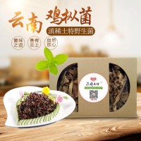 云南野生鸡枞菌