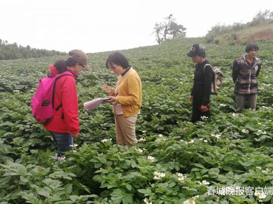 专家在地里现场指导