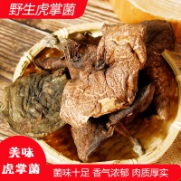 云南特产虎掌菌味美干货野生食用菌营养丰富十大名菌100克炖鸡