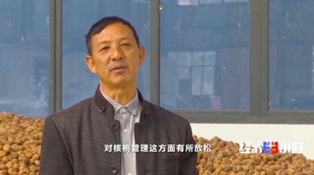 施宏