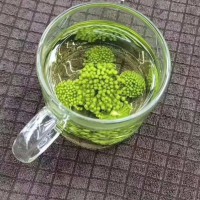 云南文山三七花