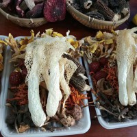 云南七彩菌汤包  98元/4包