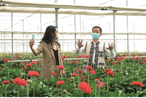 “我们泸西的花，品质过硬、花型好看、价格实在。更重要的是，科技含量高……” ——泸西县县长莫伟