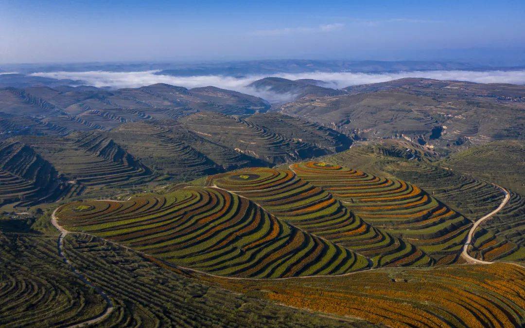 固原彭阳县梯田。图/视觉中国