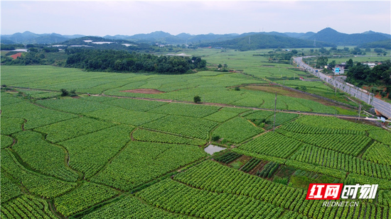 田园风光美丽乡村成为当地的摇钱树 、聚宝盆。