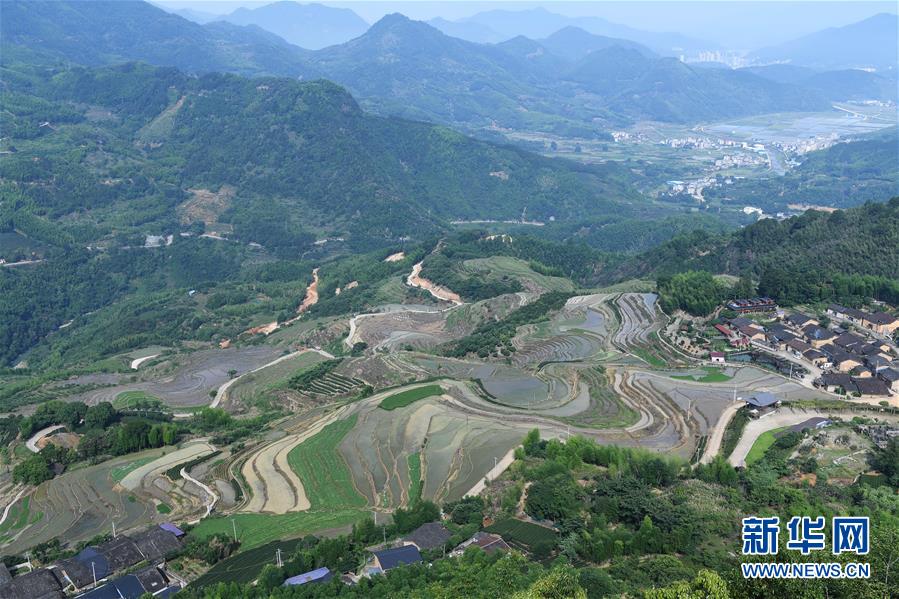 （环境）（2）福建政和：保护农业生态资源 展现梯田独特景观