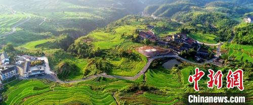 浙江仙居公路。 仙居供图