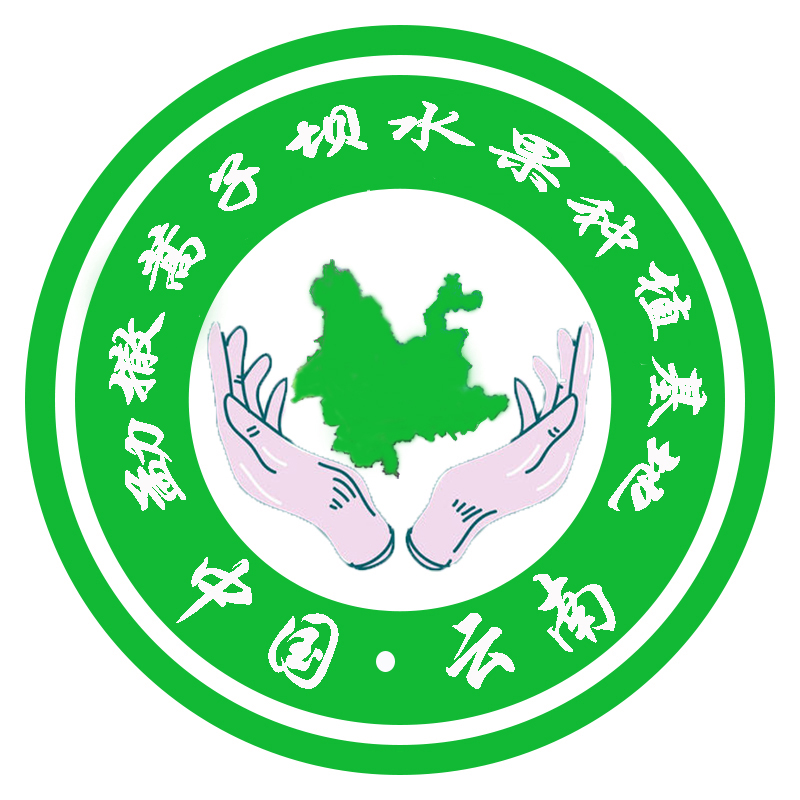 勐撒蒿子坝水果种植基地