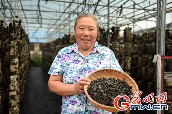  张大妈在自家种植棚前留影。光明网记者 潘迪摄