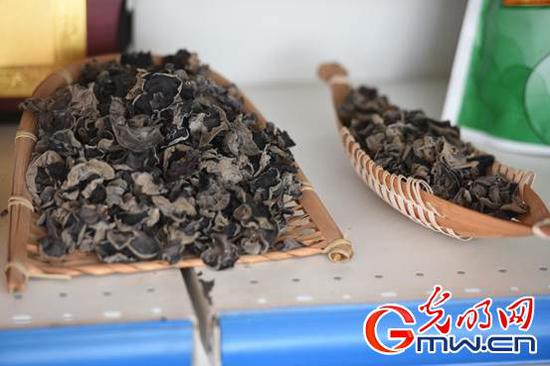  经过晾干的黑木耳。光明网记者 潘迪摄