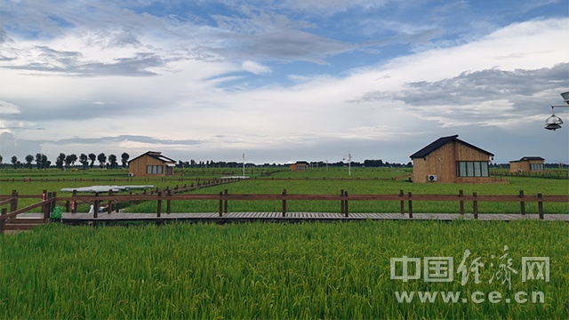 内蒙古兴安盟扎赉特旗好力保镇的“稻梦星空”木屋民宿（经济日报-中国经济网记者 武晓娟/摄）