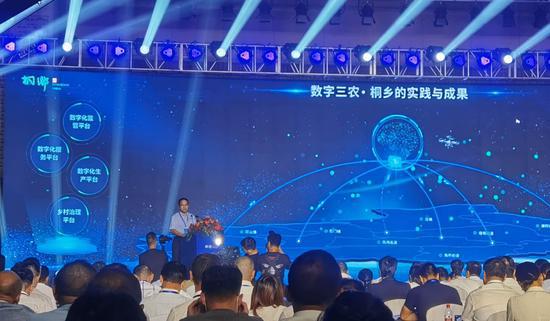 大会现场。 张合鹏 摄