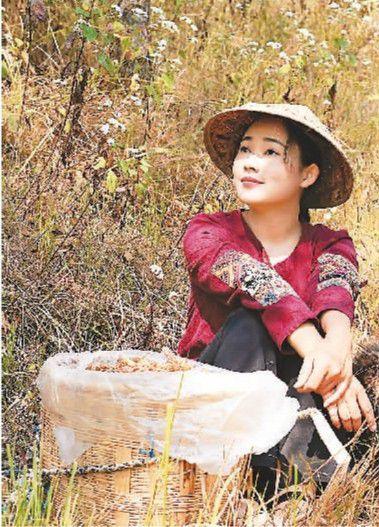  “滇西小哥”在山里采摘水果。受访者供图