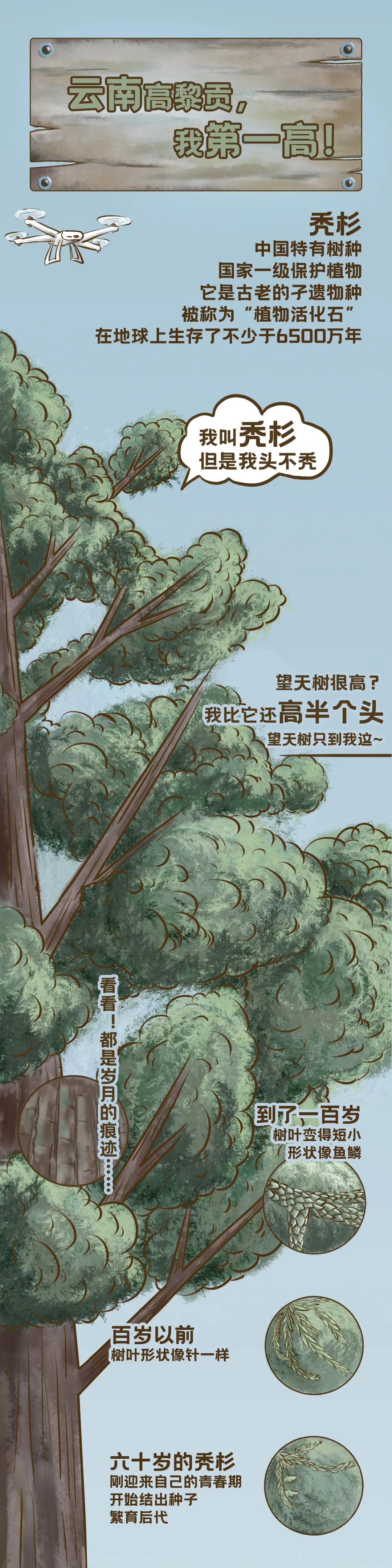 1608861766284720.jpg