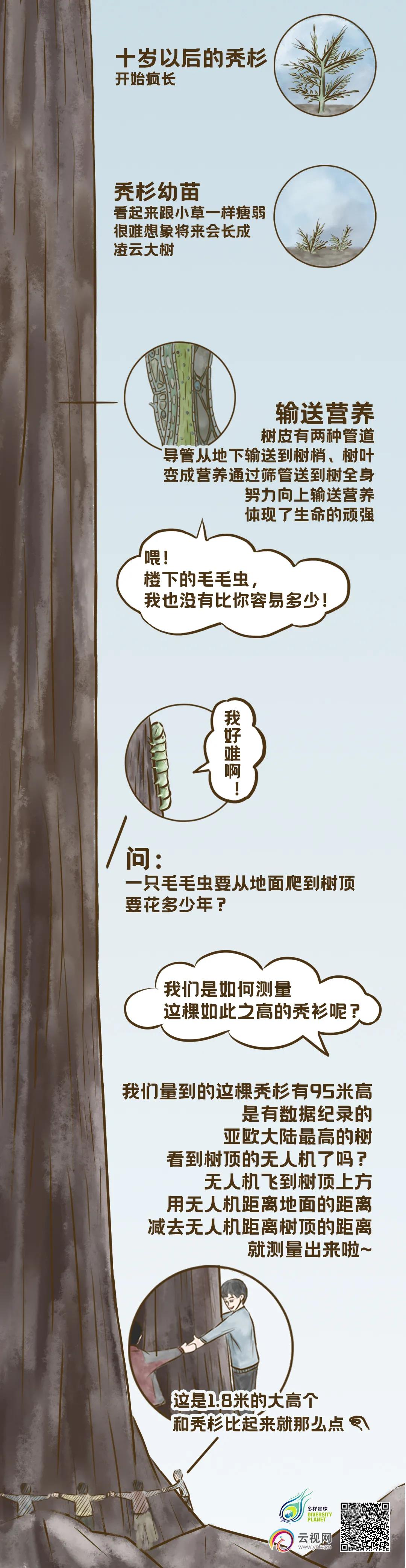 1608861774343759.jpg