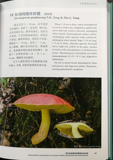 《中国西南地区常见食用菌和毒菌》出版