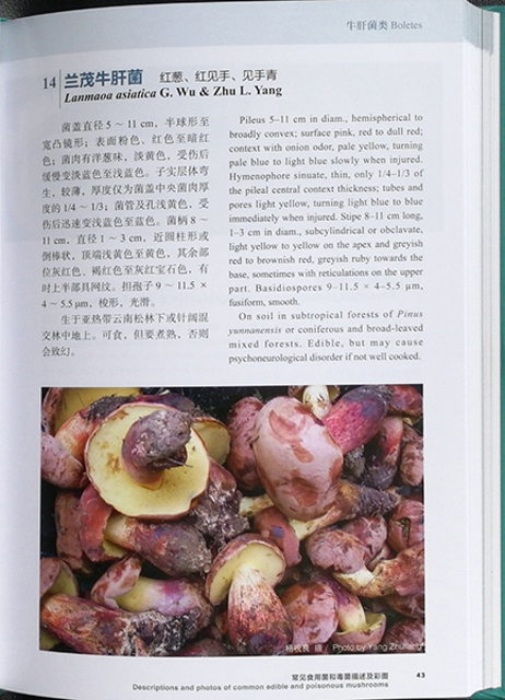《中国西南地区常见食用菌和毒菌》出版