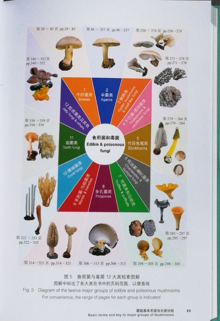 《中国西南地区常见食用菌和毒菌》出版