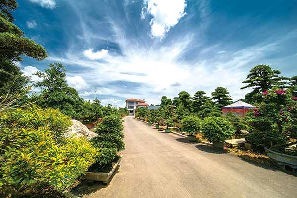 03版深度-3.jpg