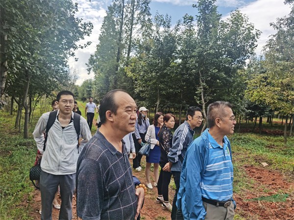 出席捐赠仪式的嘉宾参观苗木基地.jpg