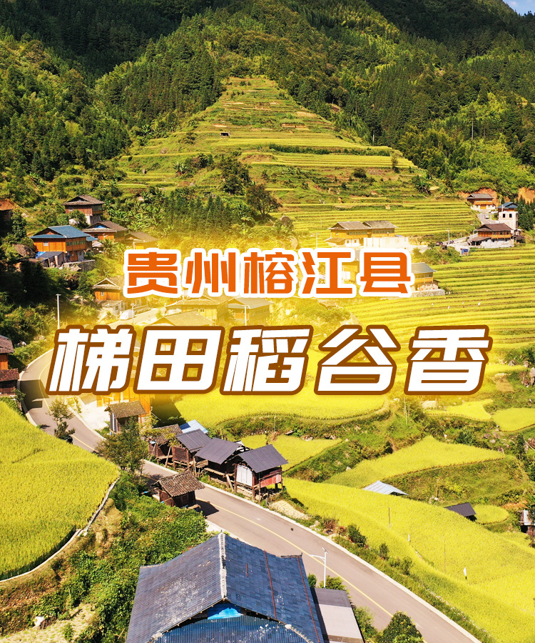 制作名单