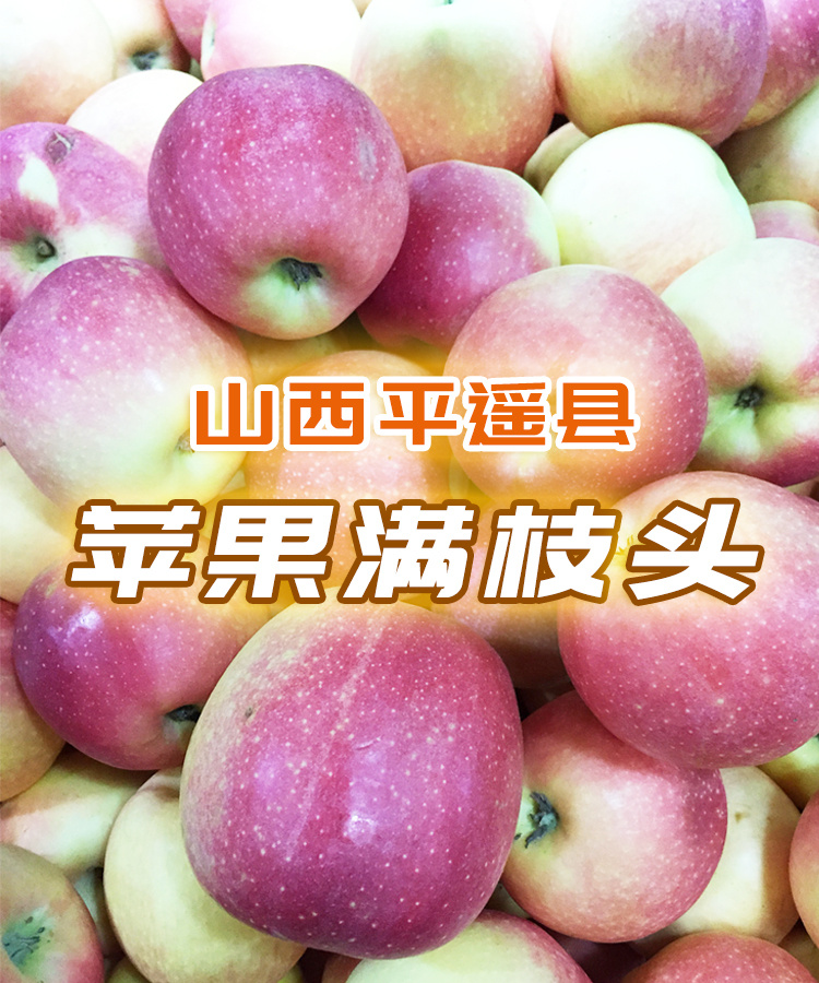 制作名单