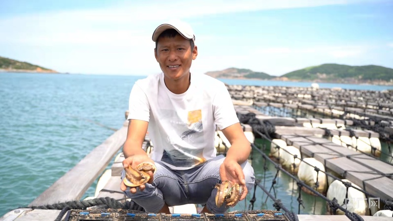 君山镇养殖户展示肥美的鲍鱼(央广网发 君山镇人民政府供图)