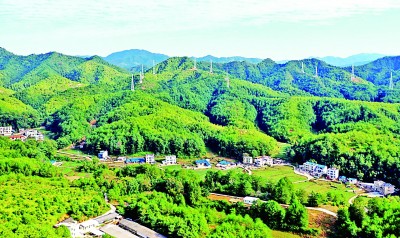 图为福建省长汀县三洲镇山林景色。光明图片