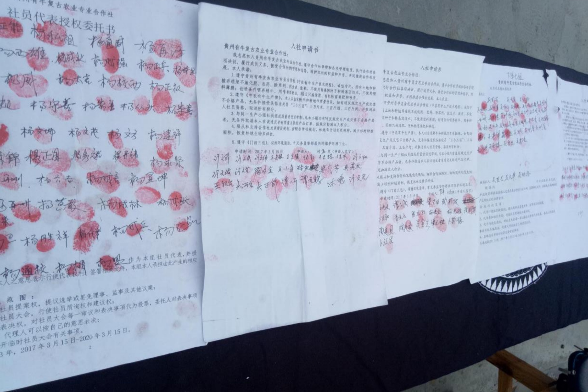 加入合作社的社员需签署入社申请(央广网发 受访者供图)