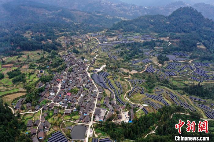 加禾村示范种植羊肚菌基地。 杨家孟 摄