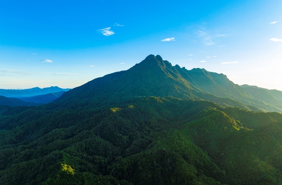△海南五指山，薄雾清晨中一片苍翠。（图/视觉中国）