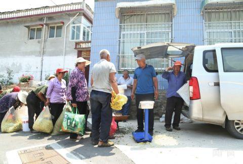 村民们将采摘的金银花进行称重、装车（央广网记者唐磊 摄）