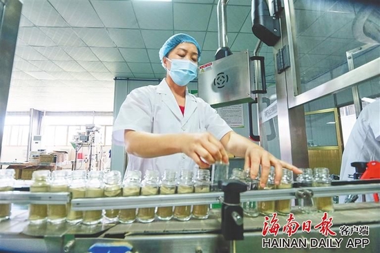 东昌胡椒加工厂的现代化胡椒生产线。(资料图)