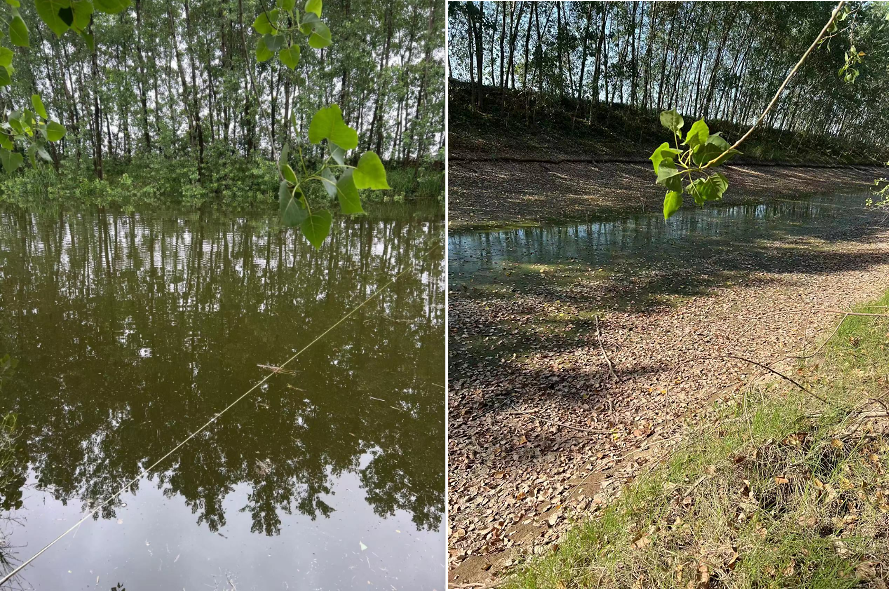 8月19日,湖北省荆州市江陵县内一处河段干枯前后对比。图/受访者提供
