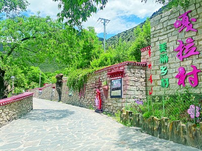     西藏林芝市嘎拉村新貌。本报记者 尕玛多吉摄/光明图片