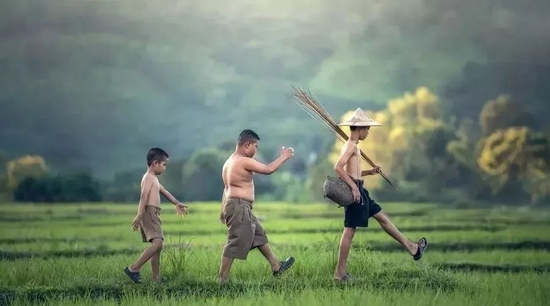 图片来源：搜狐网