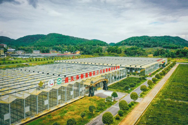 遵义新蒲新区辣椒育苗基地。 新蒲新区融媒体中心供图