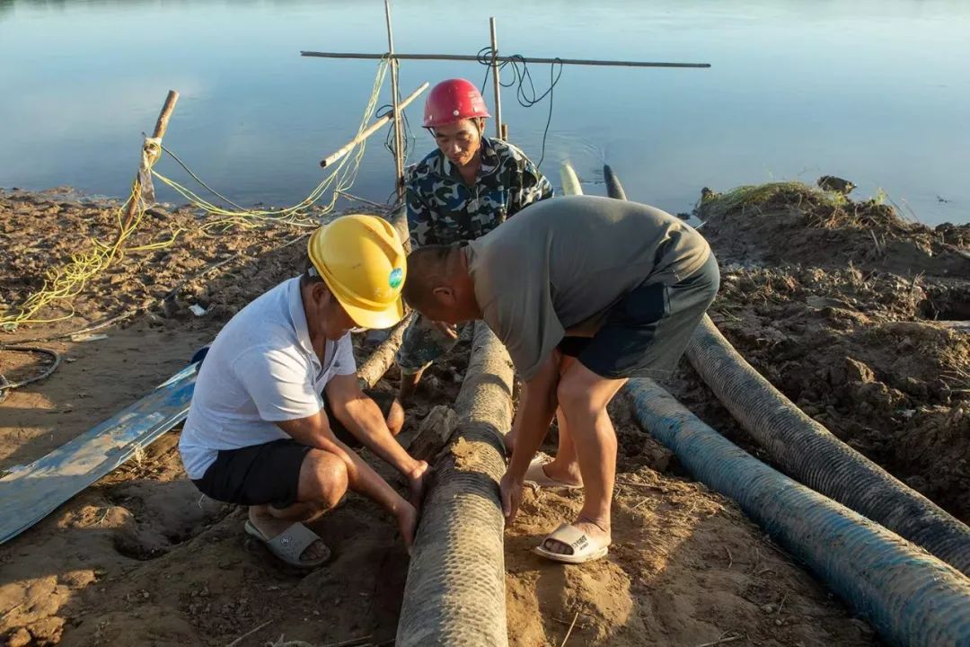 8月21日,鄱阳湖西岸永修县,工作人员正在架设引水管道。摄影:张小林