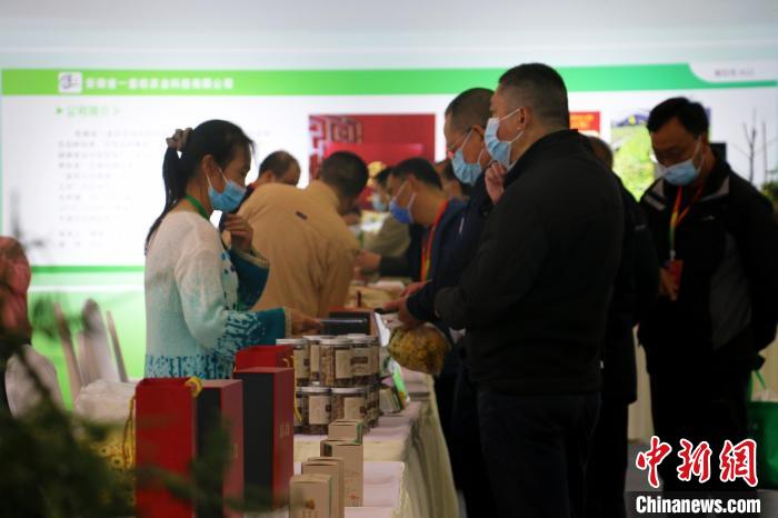 2022中国·合肥苗木花卉交易大会在安徽肥西开幕