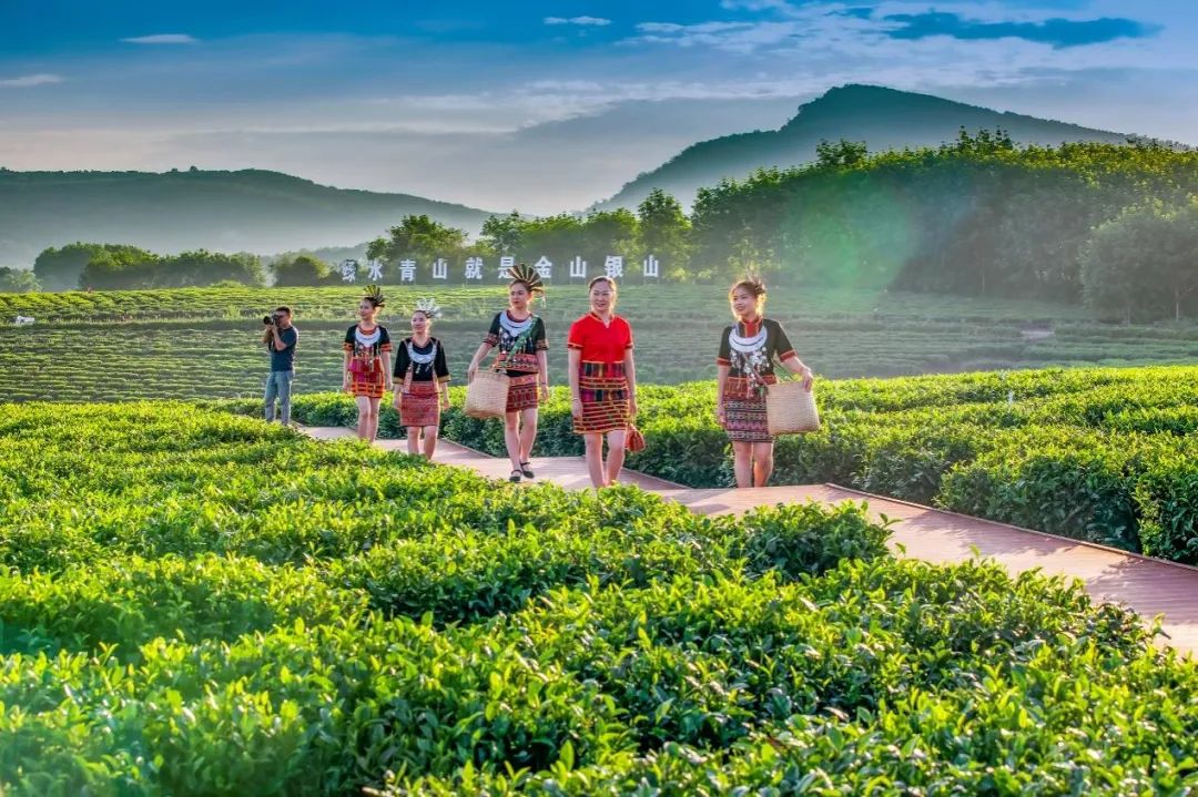 茶山小镇