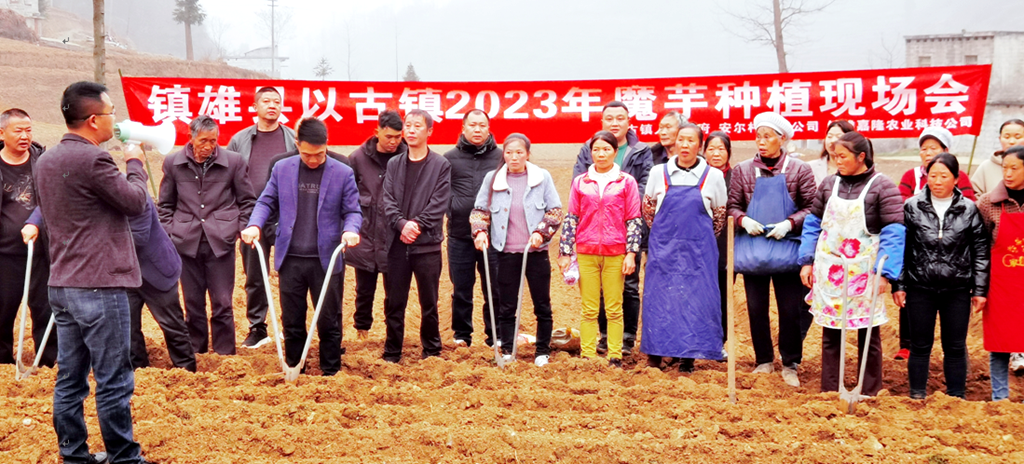 微信图片_20230310161107.png