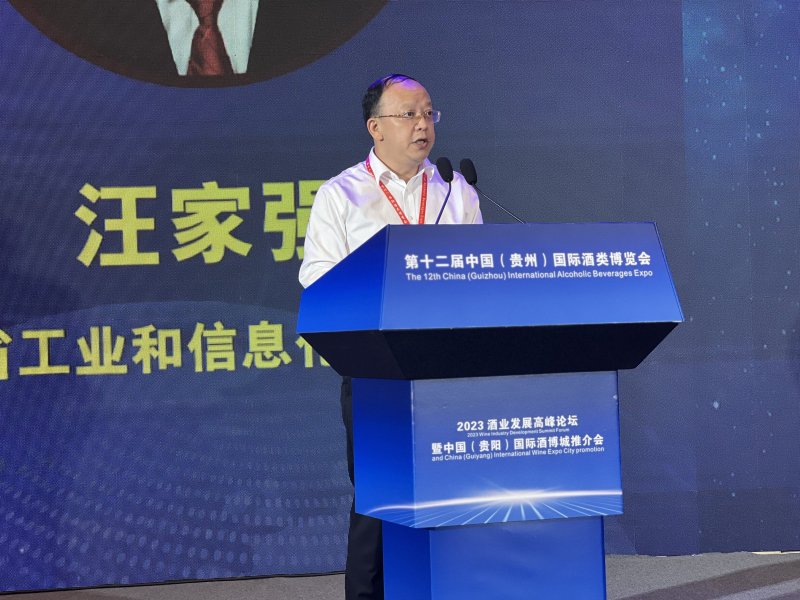 贵州省工业和信息化厅副厅长汪家强致辞