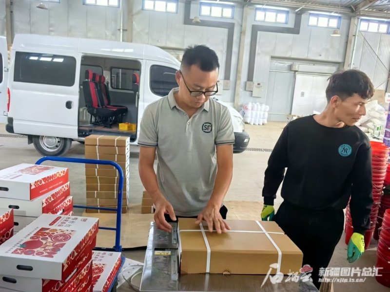 顺丰快递小哥正在给“喀什红”水果番茄打包。刘俊杰摄